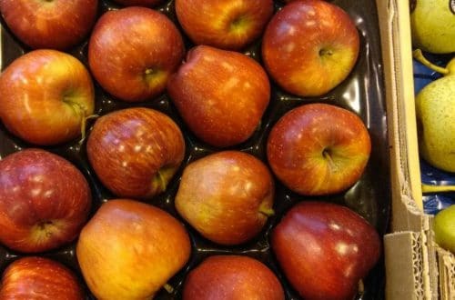 Los Mejores tipos de Manzana y sus Beneficios